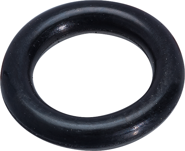 Valve O-Ring